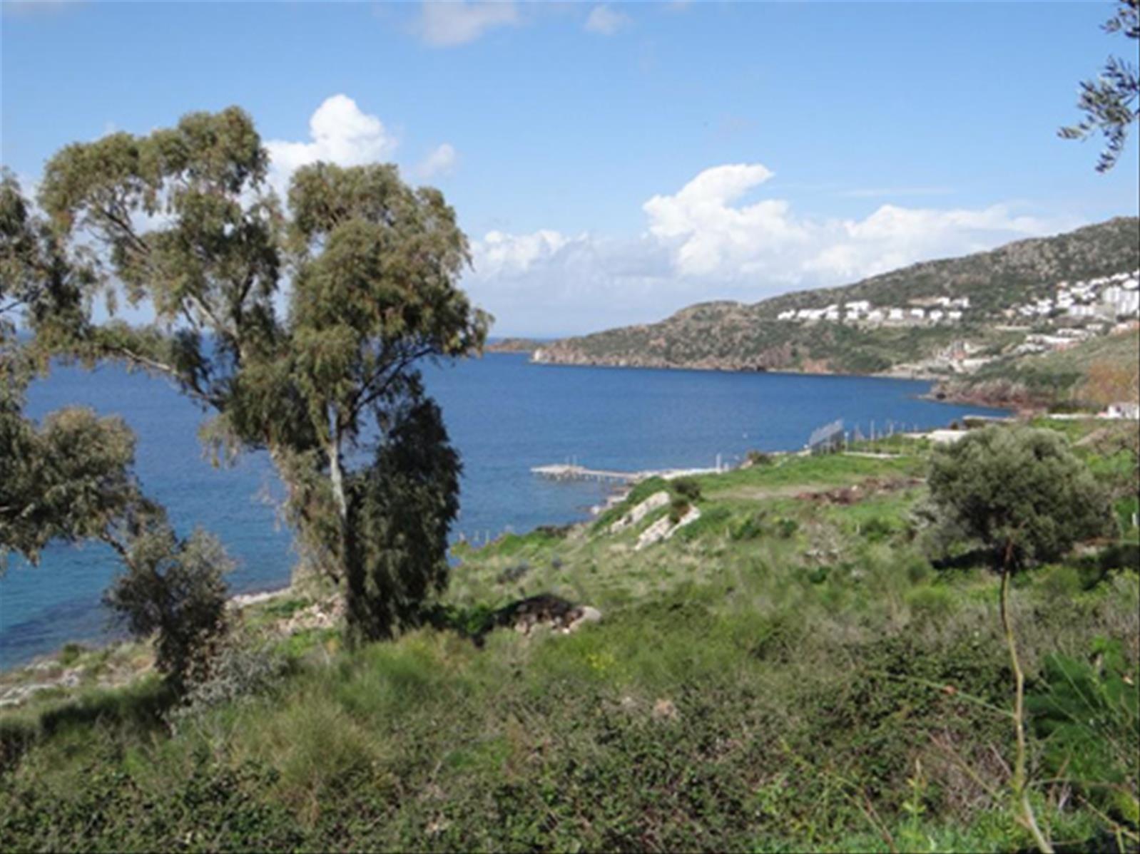 Bodrum / Yalıkavak - MUĞLA / 10 Milyon Euro